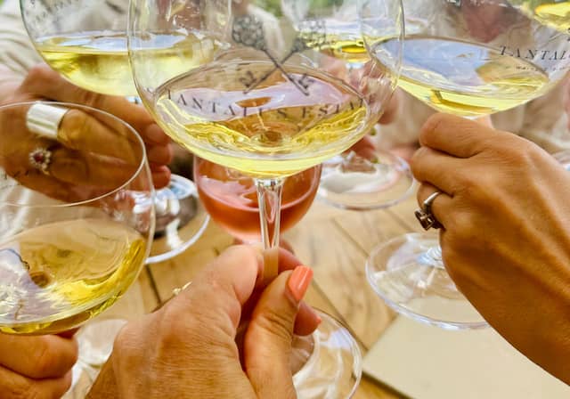 Photo from the Waiheke Island Wineries' Tour listing