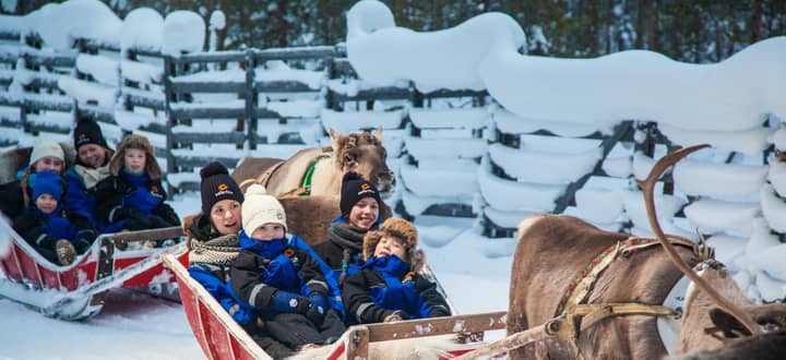 Tour photo: Snowmobile Safari to a Reindeer Farm