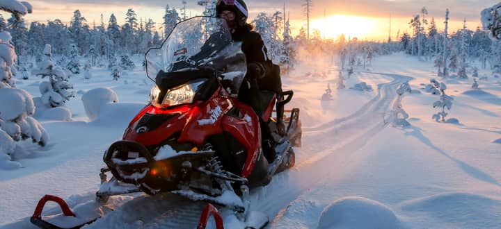 Tour photo: Full Day Snowmobile Safari into the Wilderness