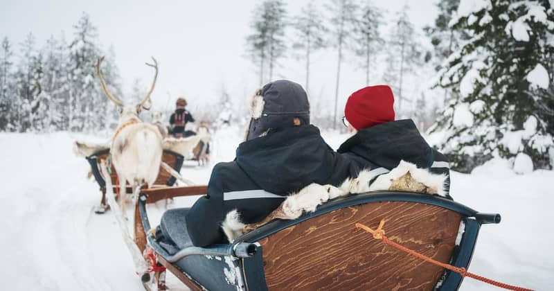Passengers in a wooden sleigh seen from behind, a reindeer ahead in the forest