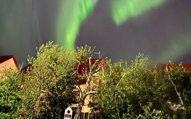 Aurora above garden trees and houses — shows aurora from a town, phone quality