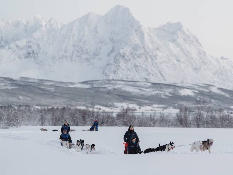 Sled teams crossing a flat snowfield under a huge jagged snow mountain wall (Lyngen Alps)