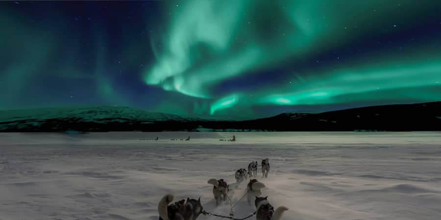 husky team pulling a sled across a frozen lake, seen from the sled, green aurora