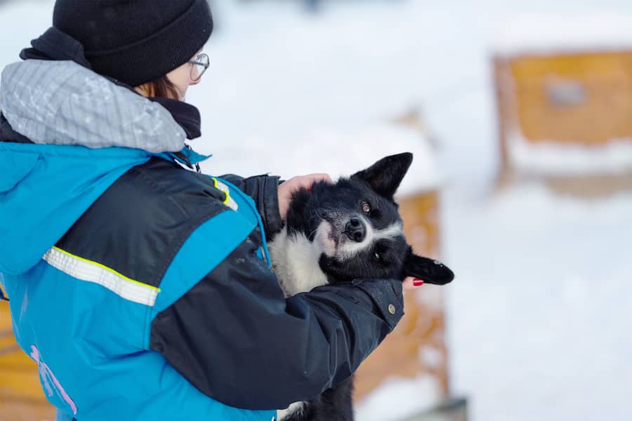 Mujer con chaqueta azul acerca a su cara un cachorro de husky blanco y negro