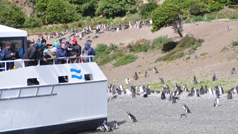 Passengers on deck watching penguins on the slope — photo from a GetYourGuide catamaran listing