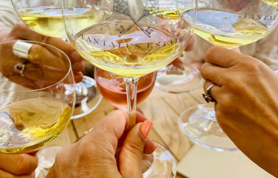 Photo from the Waiheke Island Wineries' Tour listing