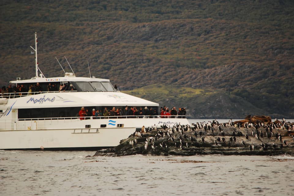 Cruiser at colony beach, penguins and sea lions — GetYourGuide listing