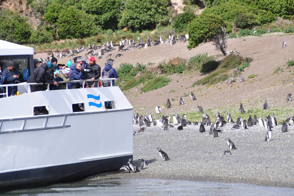 Passengers on deck, penguins on slope — GetYourGuide listing