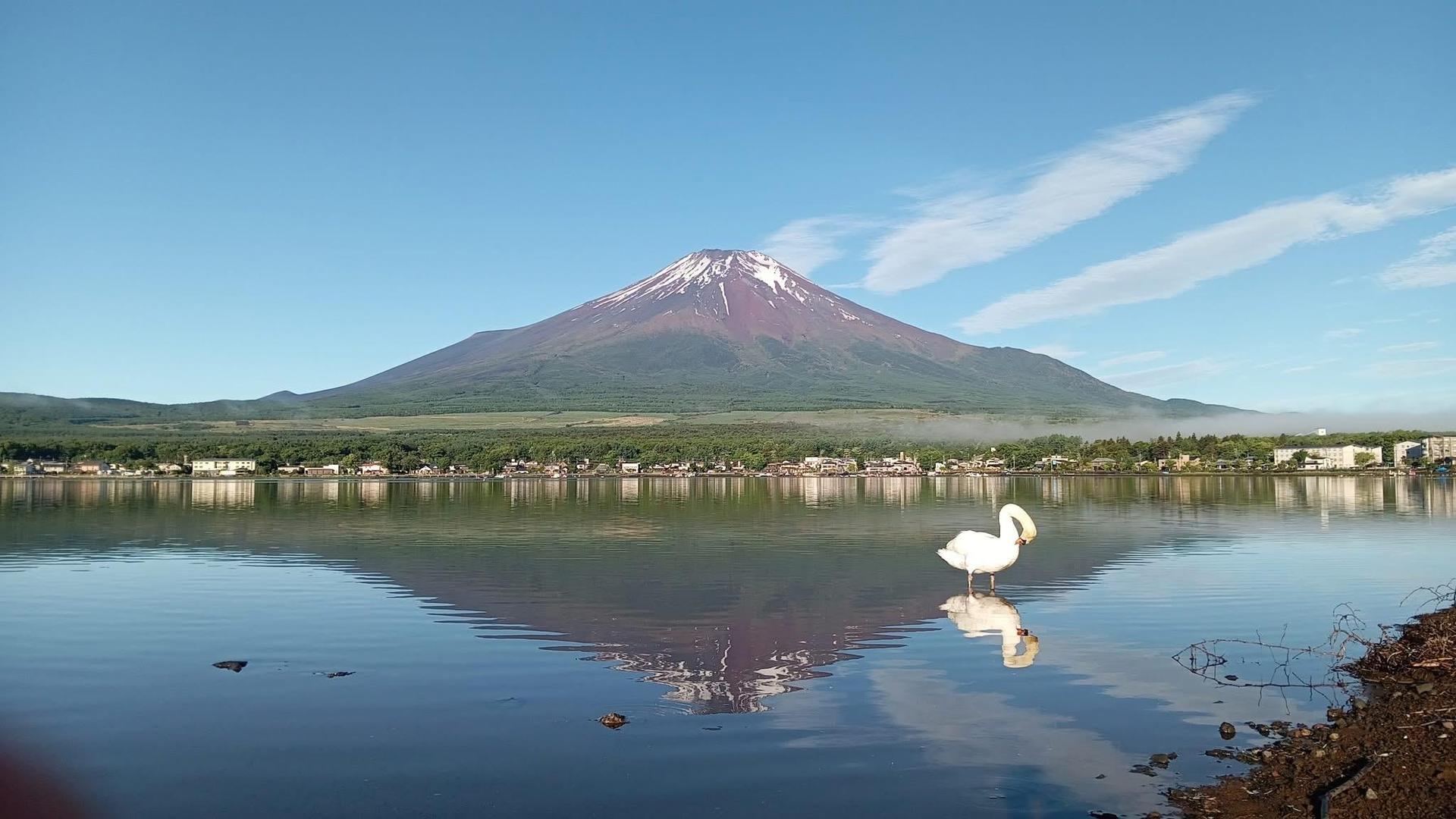 From Tokyo: Mount Fuji Full-Day Sightseeing Trip - Thumbnail 6