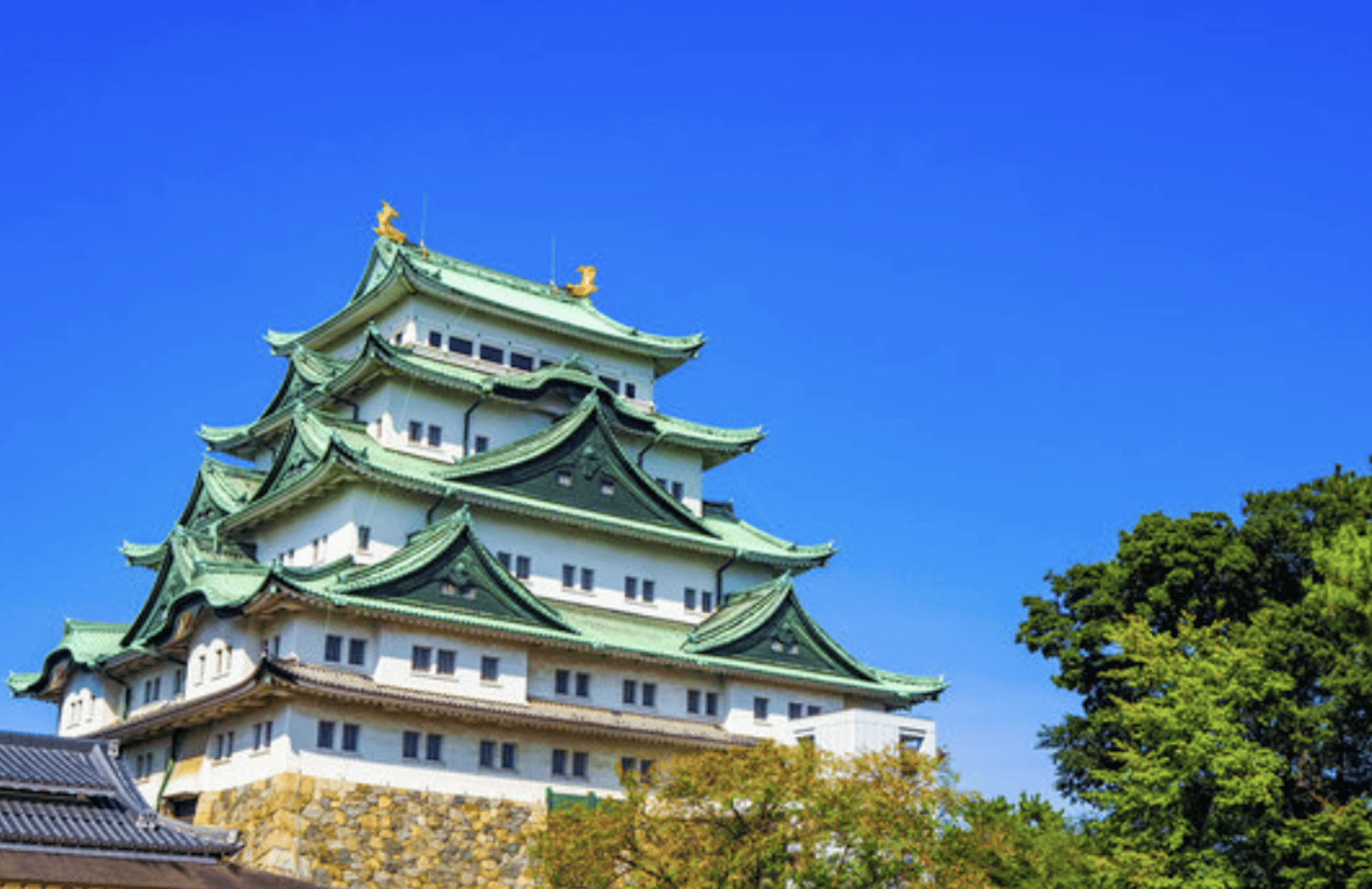 Nagoya 6hr Private Tour with Government-Licensed Guide - Thumbnail 10