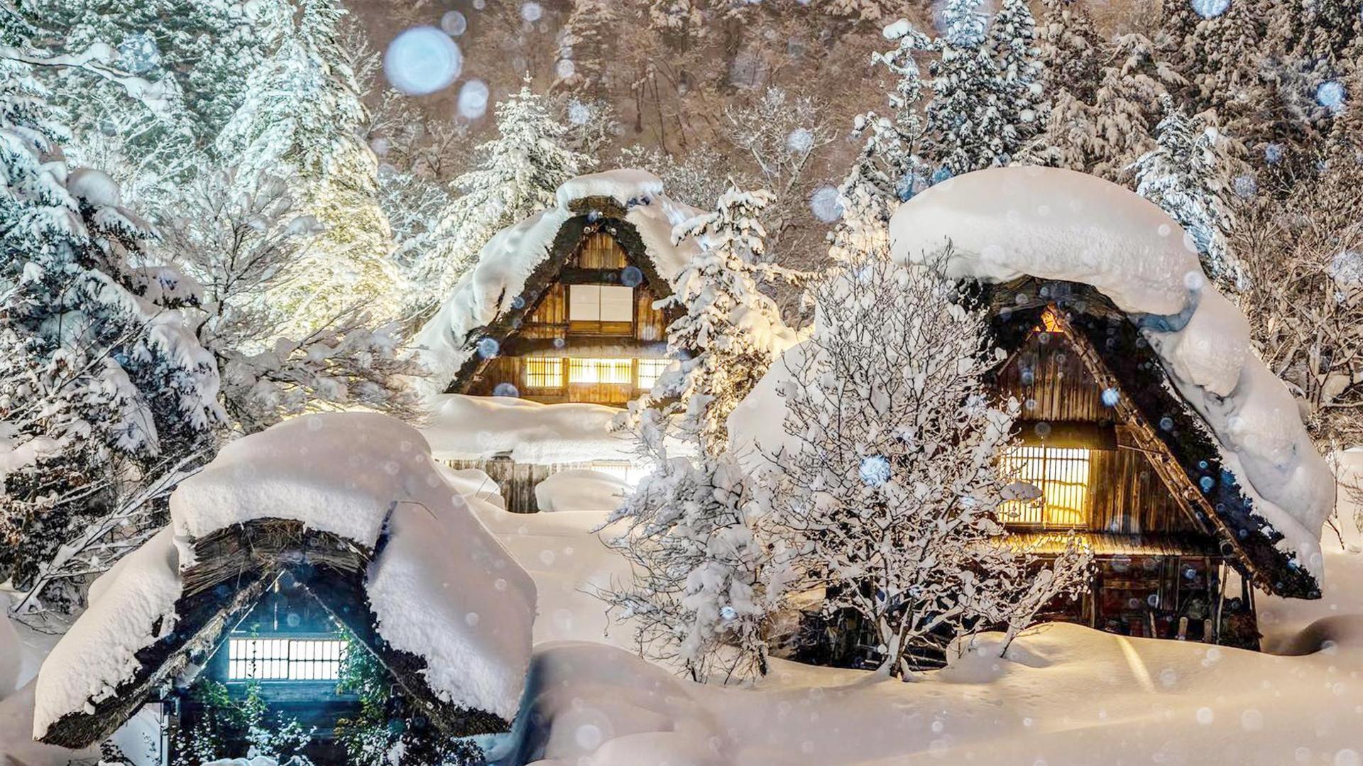 From Nagoya: Shirakawa-go & Hida-Takayama Full Day Trip - Thumbnail 10