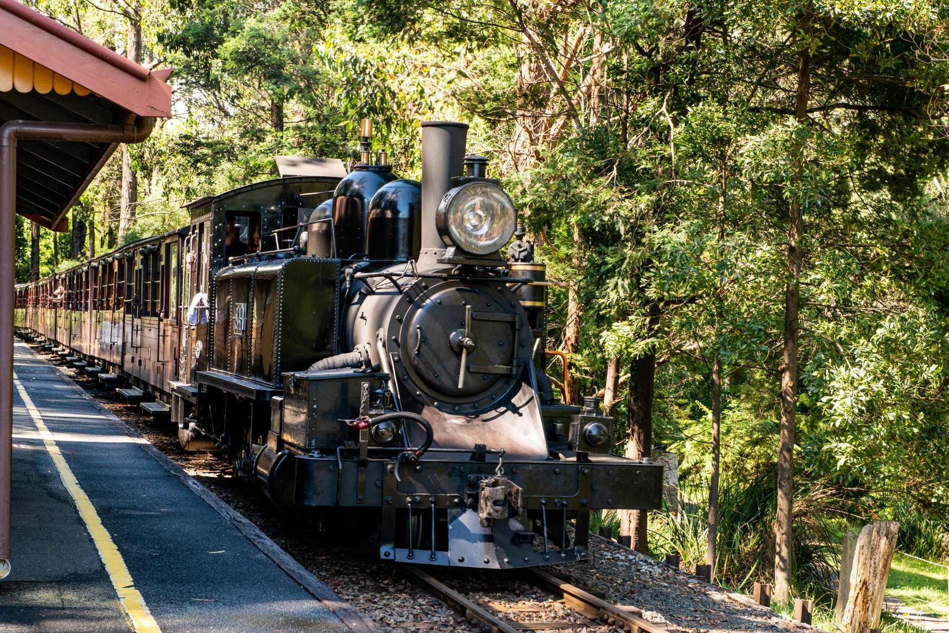 Puffing Billy Railway: Heritage Steam Train Journey - Thumbnail 6