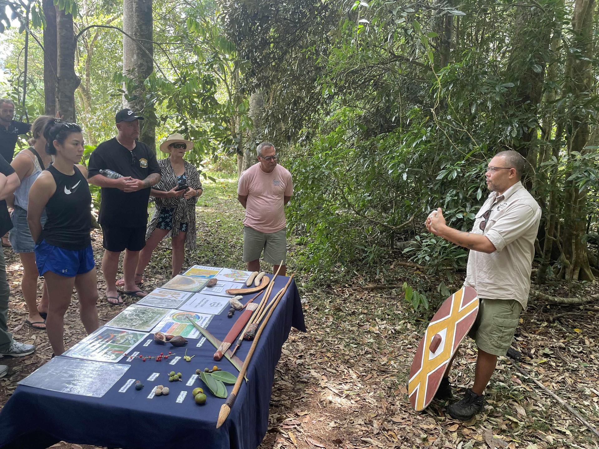 From Cairns: Rainforest & Nocturnal Wildlife Tour - Thumbnail 6