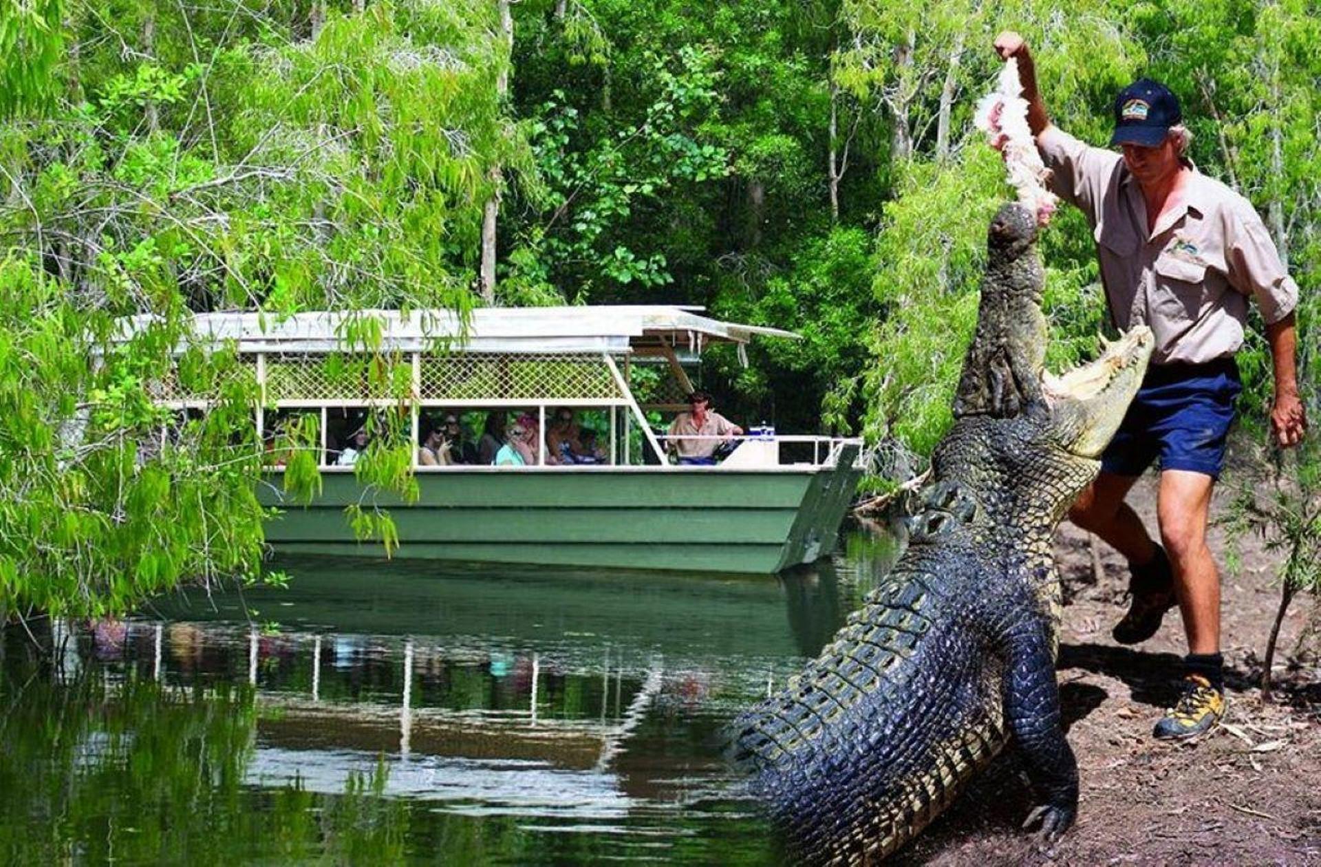Hartley's Crocodile Adventures Park Entry - Thumbnail 9