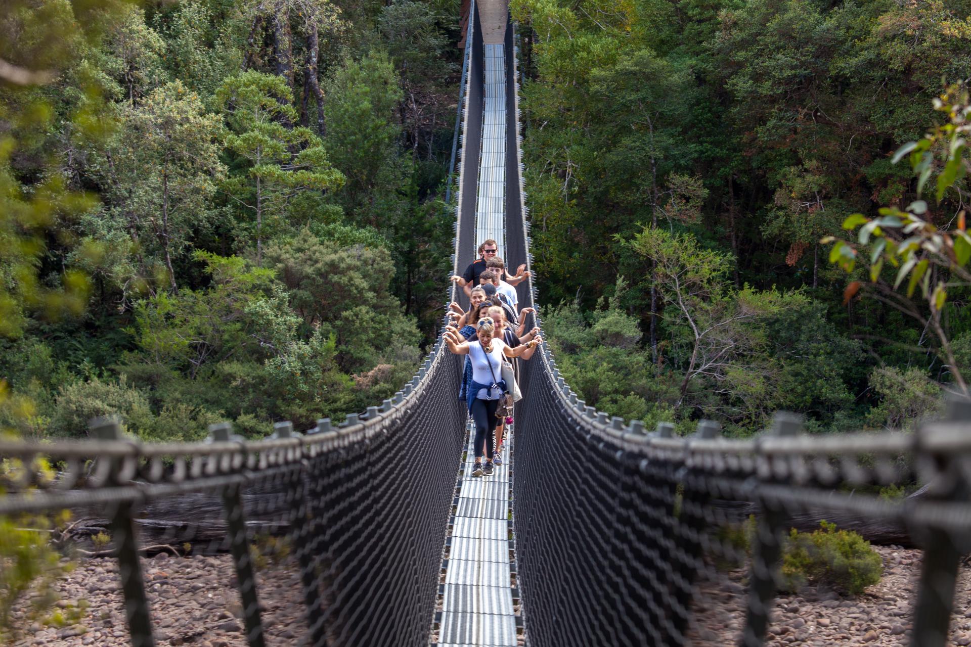 Hobart: Admission Ticket to Bonorong Wildlife Sanctuary - Thumbnail 10