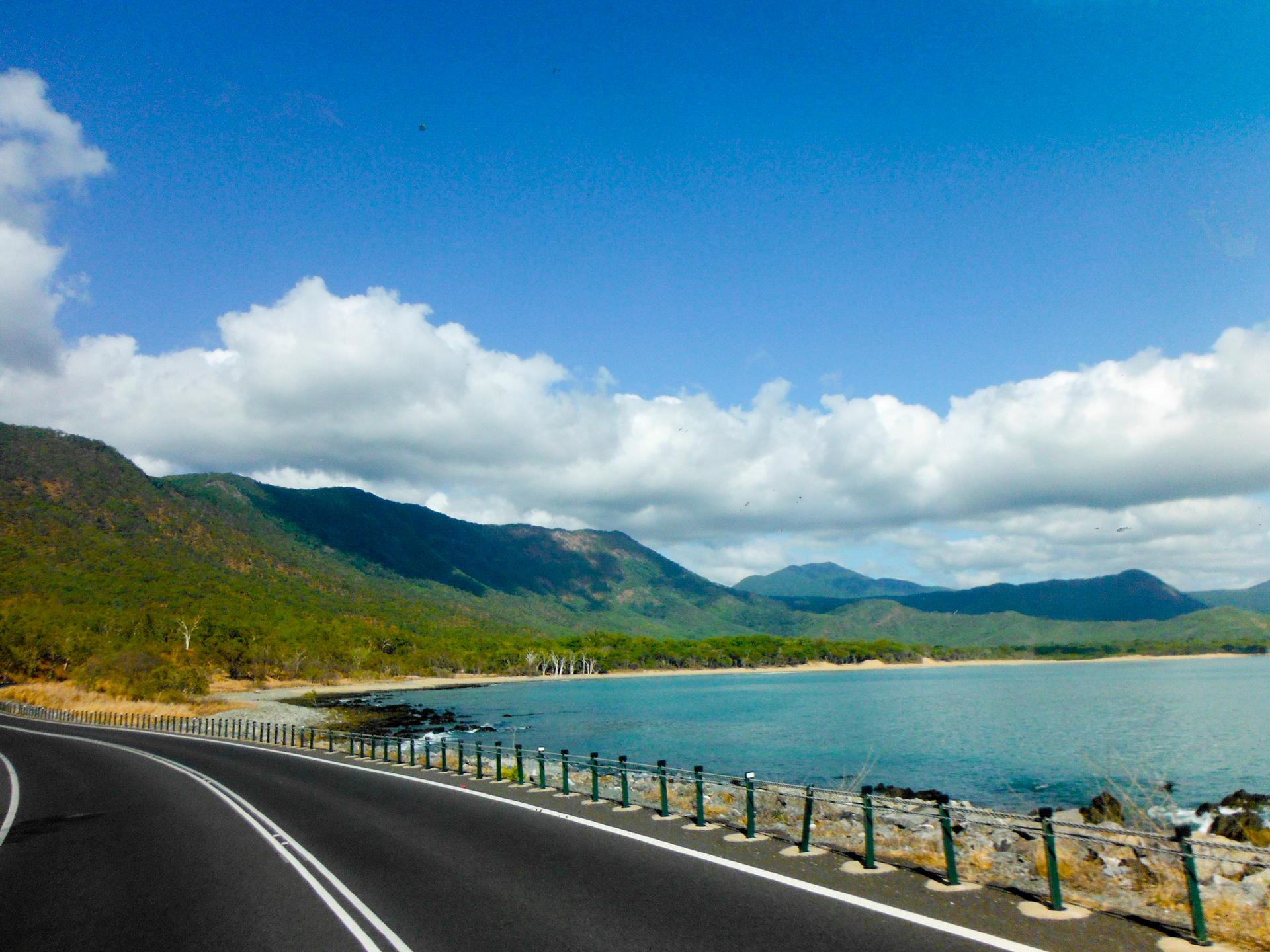 From Cairns: Rainforest & Nocturnal Wildlife Tour - Thumbnail 4