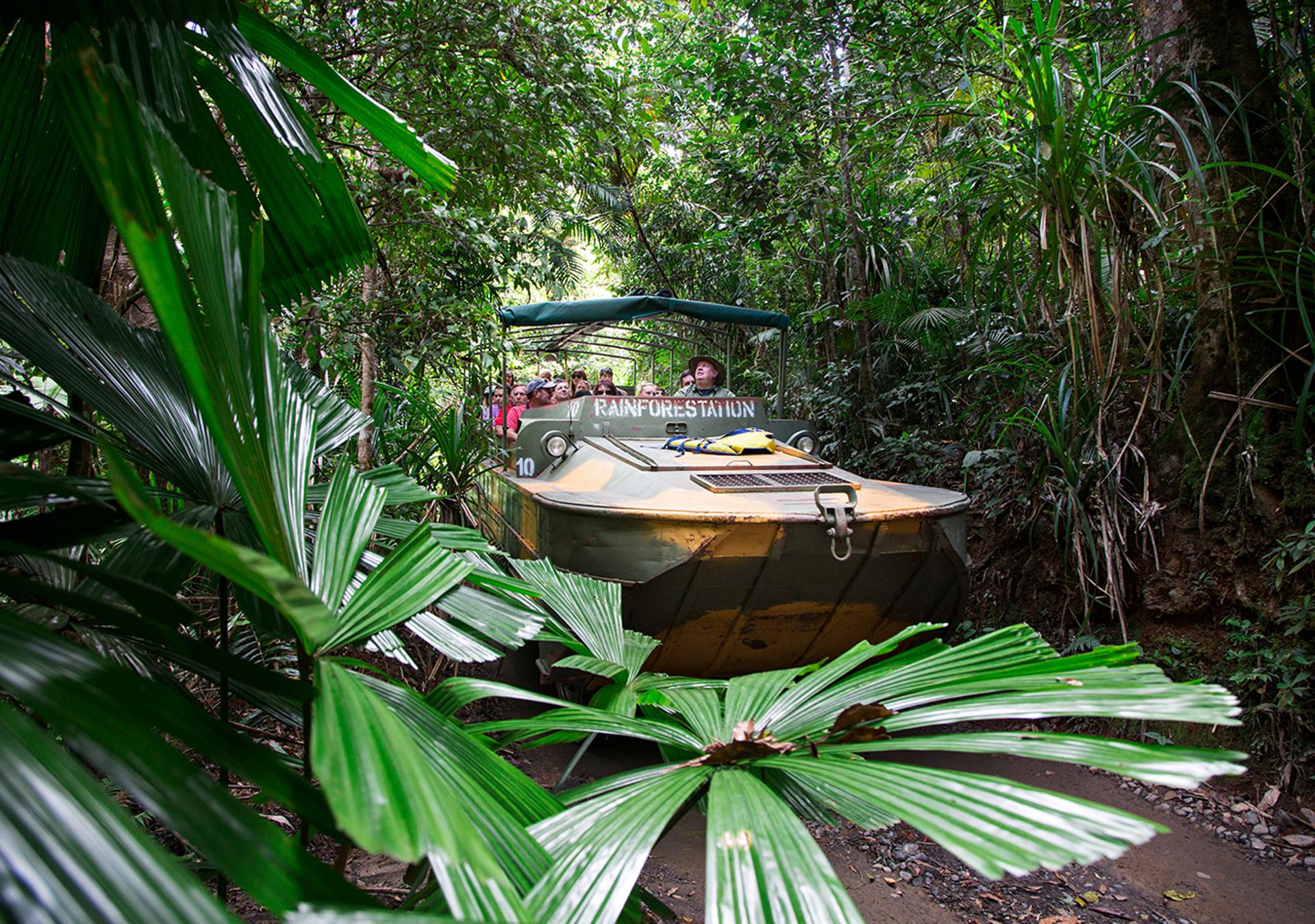 Kuranda Skyrail and Scenic Rail including Artillery Museum - Thumbnail 7