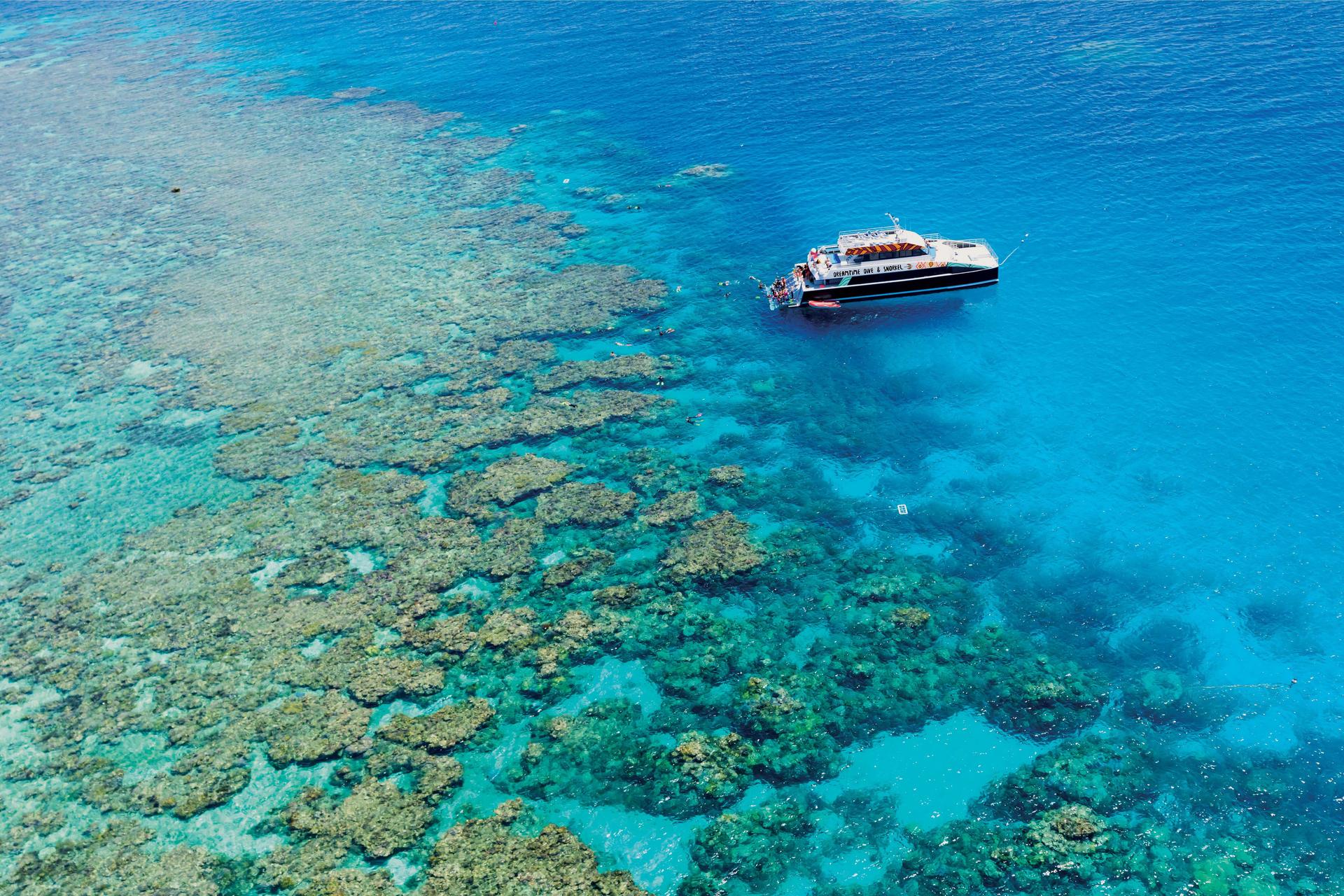Cairns: Outer Great Barrier Reef Full-Day Tour with Lunch - Thumbnail 5