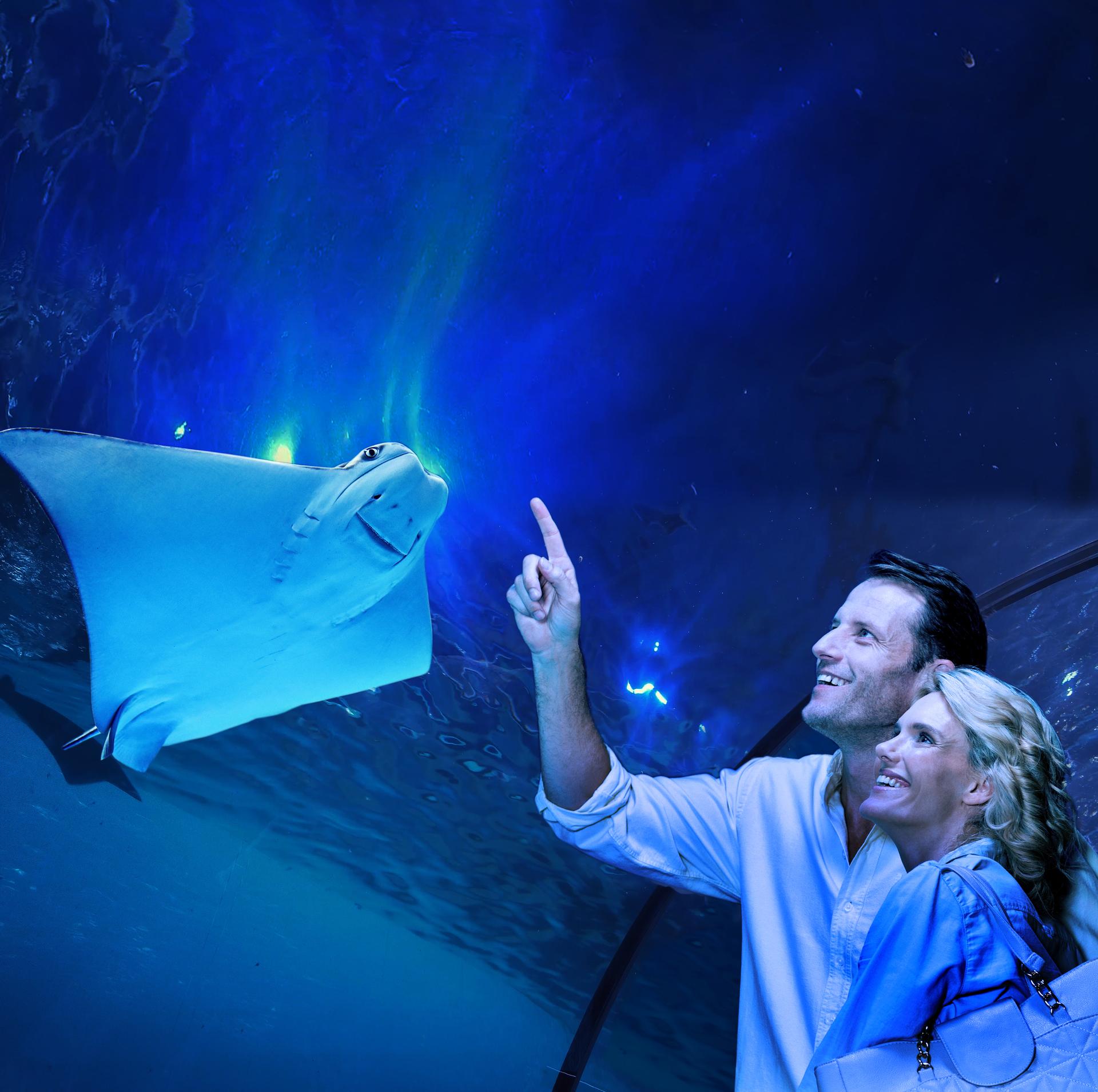 Cairns Aquarium General Admission Ticket - Thumbnail 8