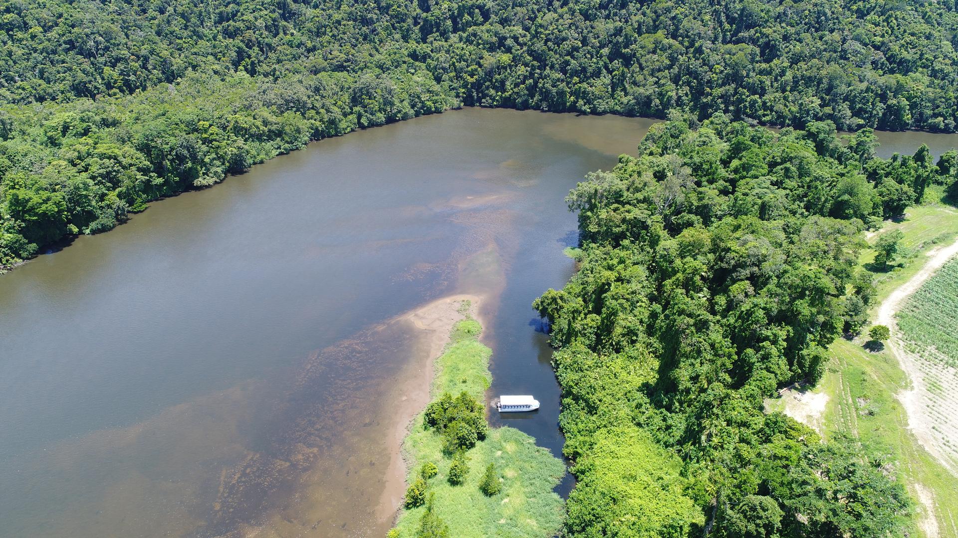 From Cairns: Daintree Rainforest & Cape Tribulation 4WD Tour - Thumbnail 10