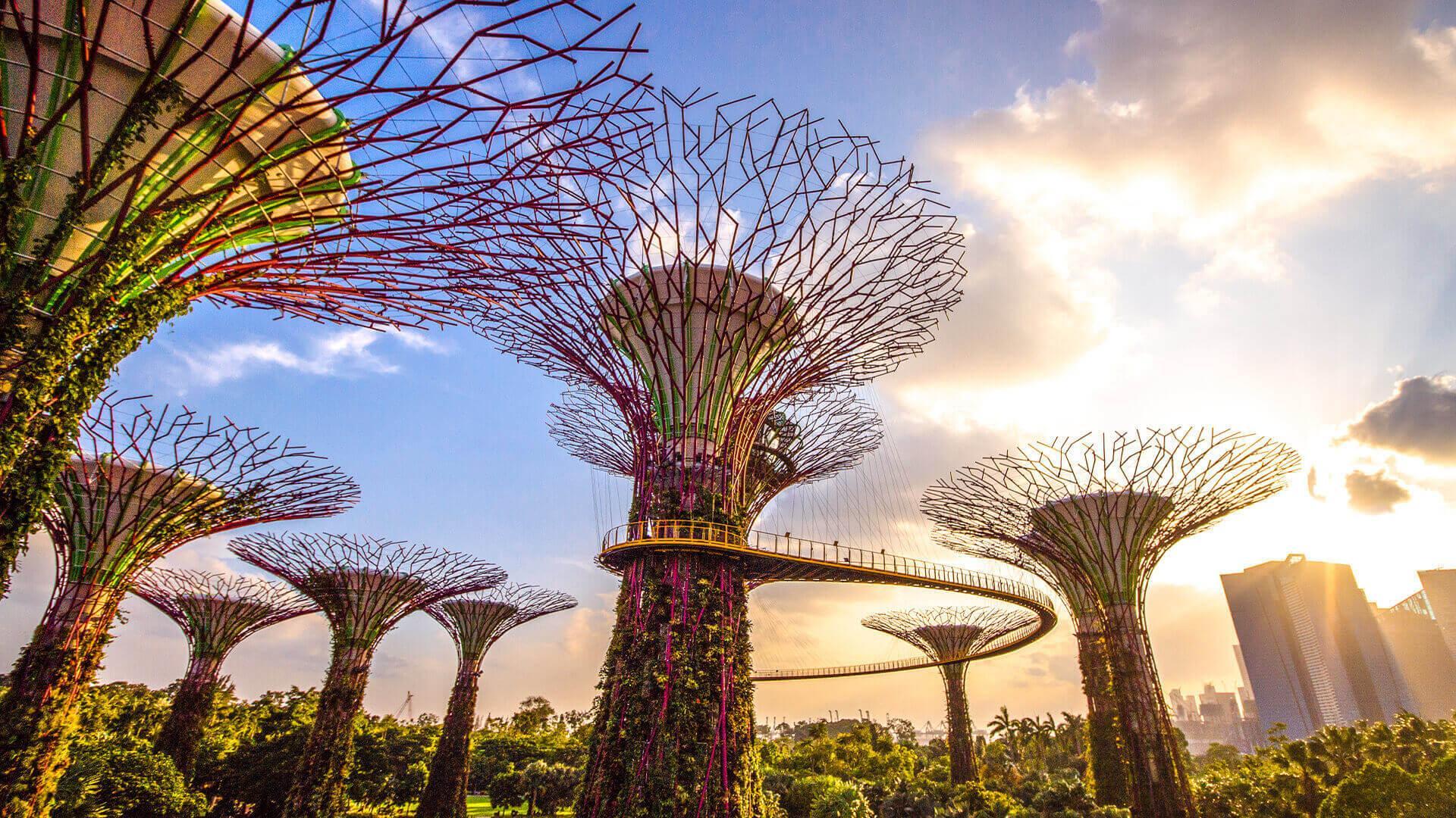 Singapore: Gardens by the Bay Admission E-Ticket - Thumbnail 6