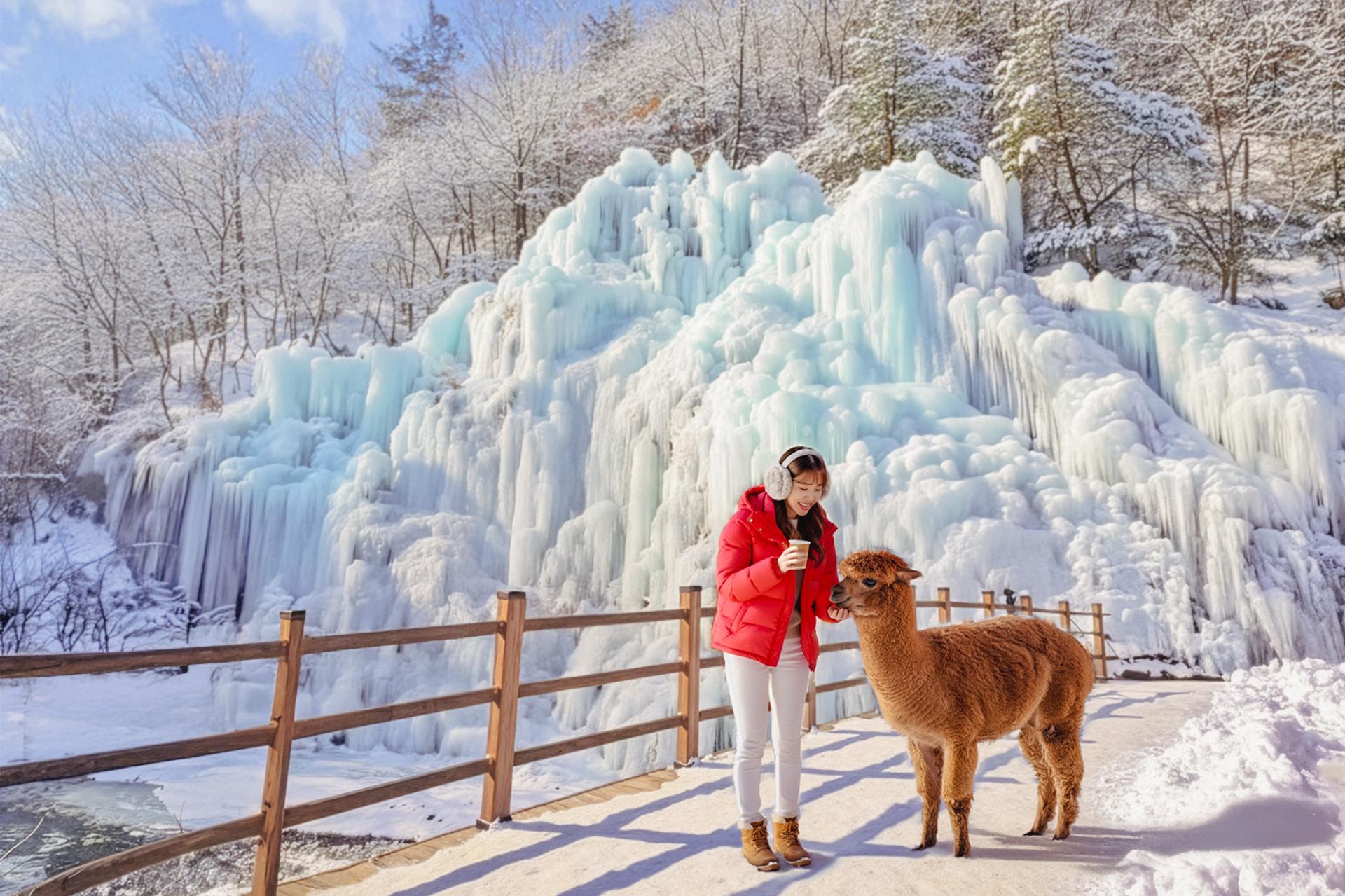 Seoul: Winter Tour at Eobi Ice Valley, Nami Island, and More - Thumbnail 7
