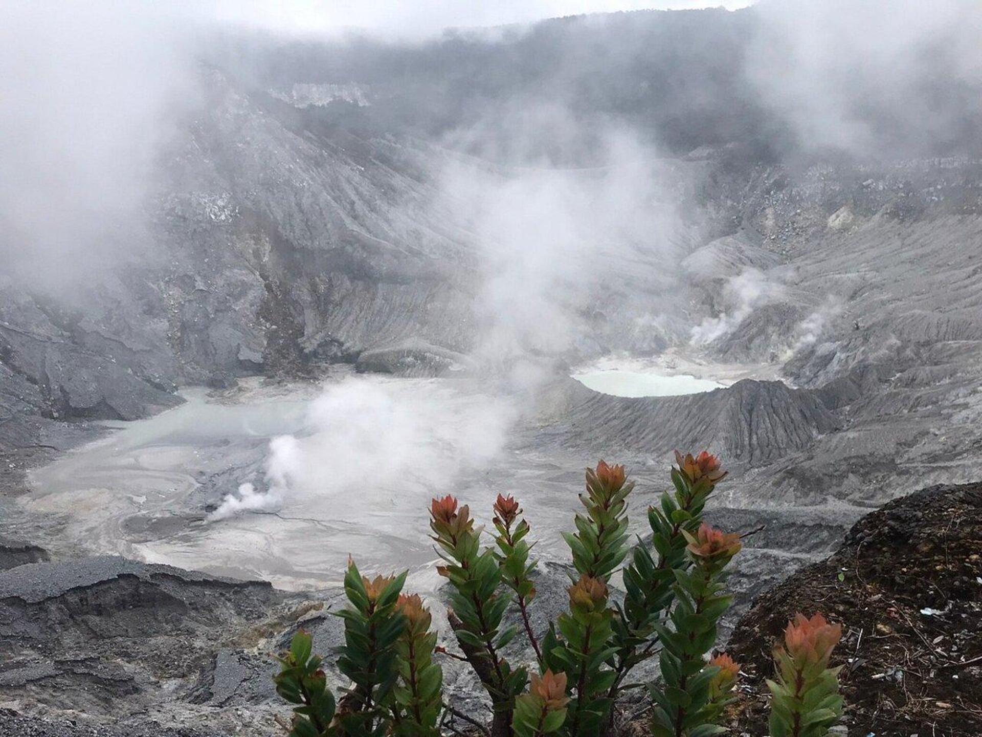 From Jakarta : Volcano, Tea & Rice Fields, Hot Spring - Thumbnail 6