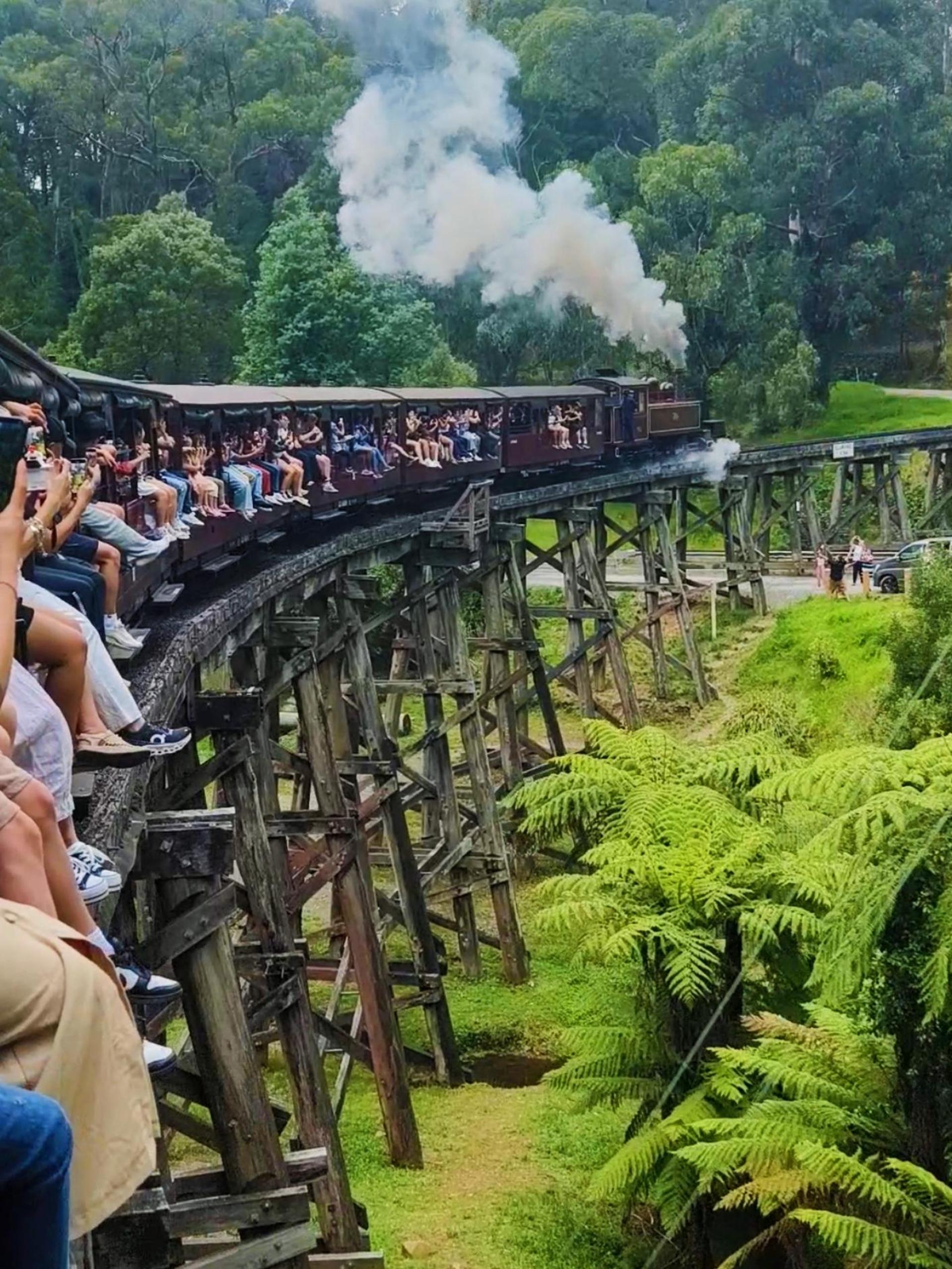 From Melbourne: Puffing Billy Train & Penguin Wildlife Tour - Thumbnail 6