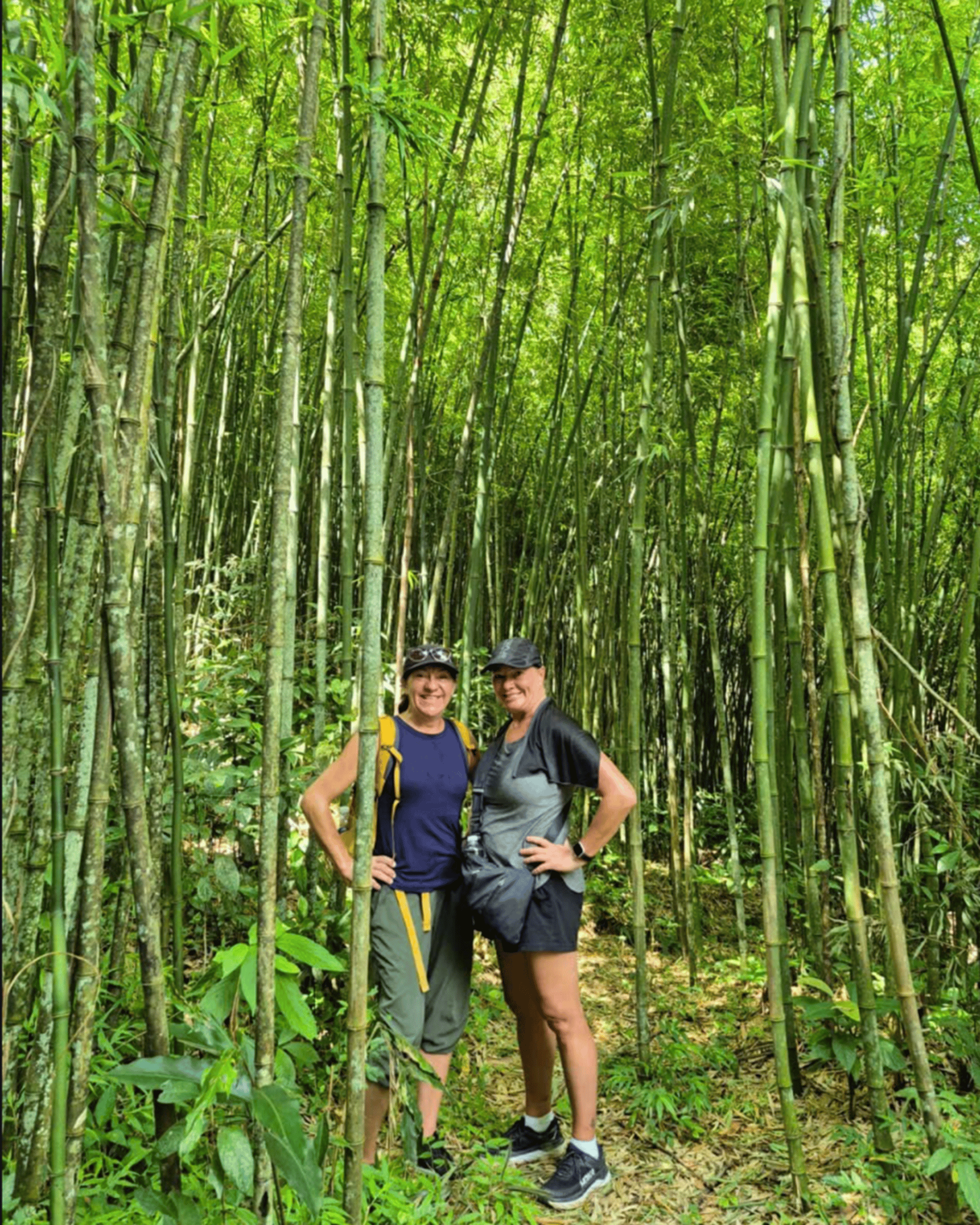 Sapa Relax Eco Tour: Muong Hoa Valley & Ta Van (No Trek) - Thumbnail 8