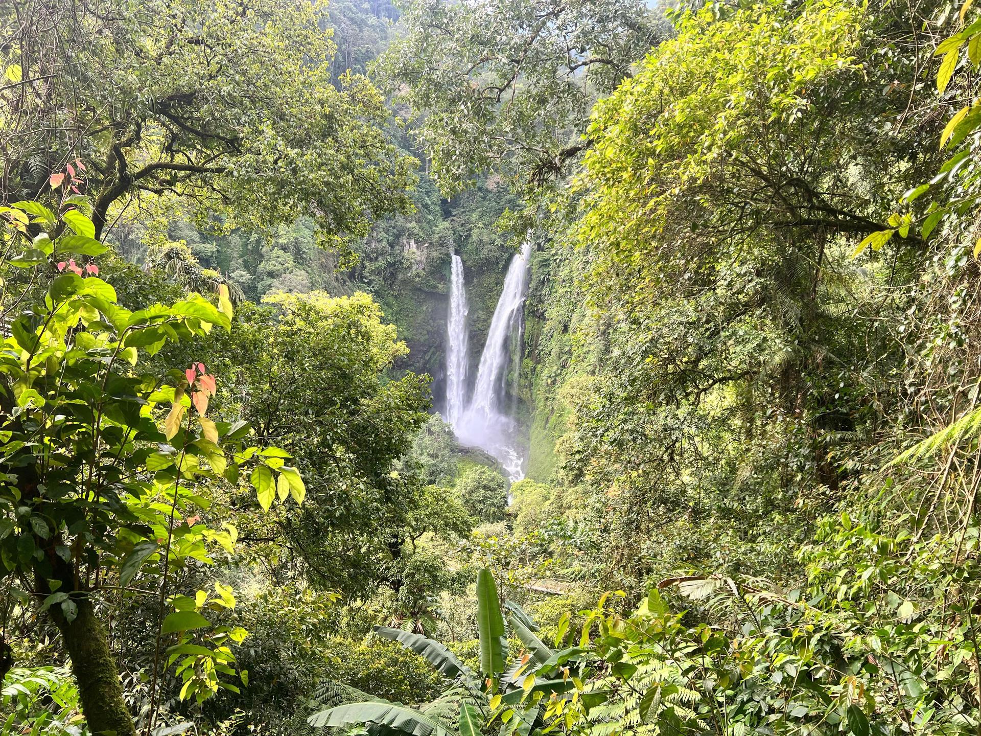 Jakarta: Volcano, Tea/Rice Fields, Hot Spring, Local Food - Thumbnail 7