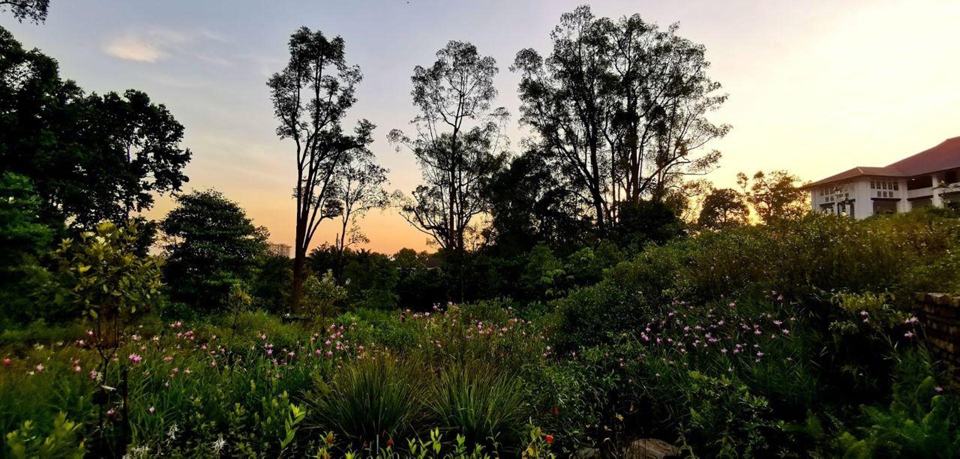 Singapore: National Orchid Garden Entry Tickets - Thumbnail 10