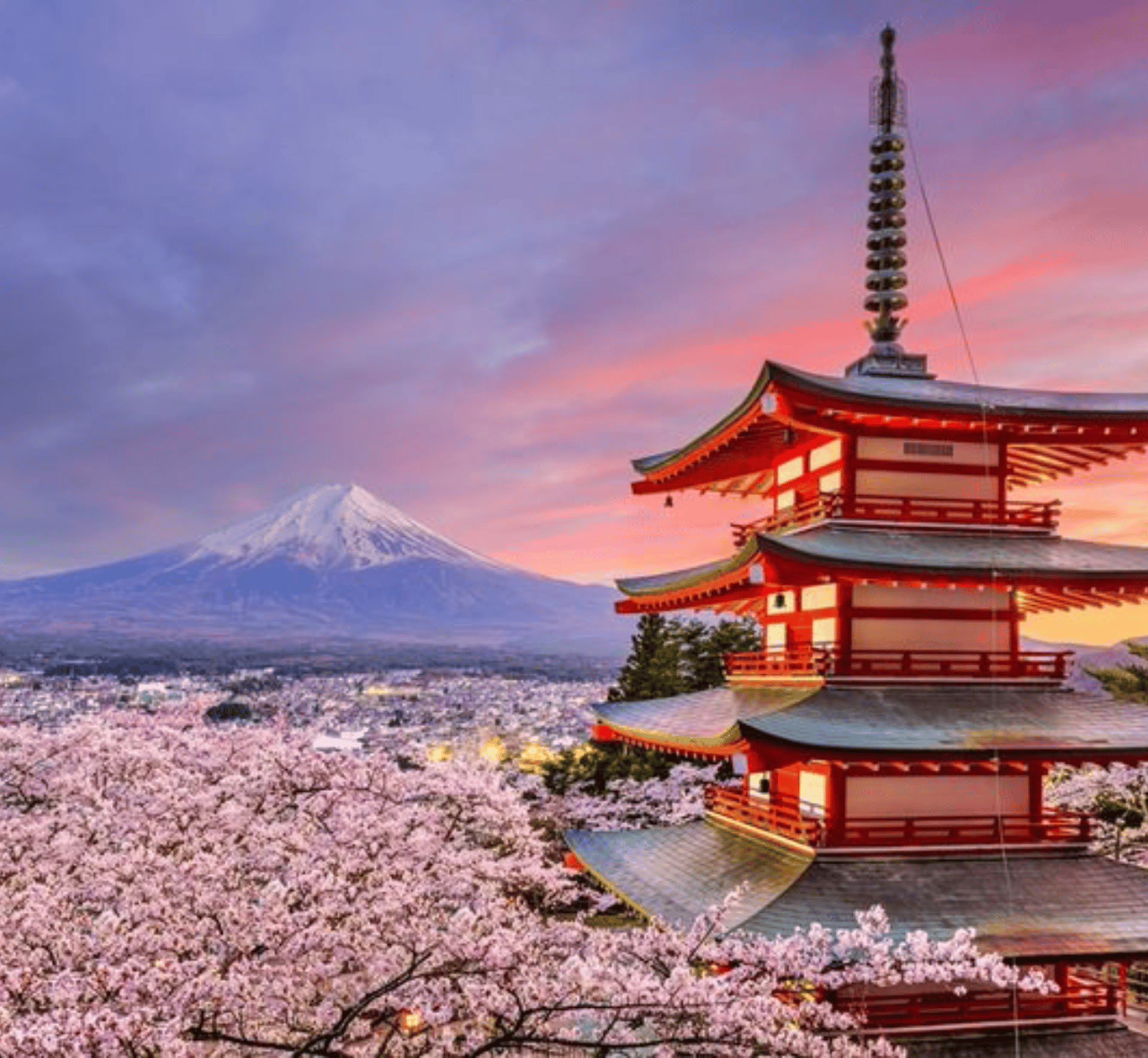From Tokyo: Mount Fuji Full-Day Sightseeing Trip - Thumbnail 3