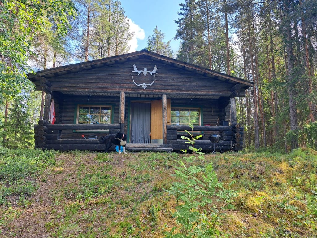 Summer Day at the Wilderness Cabin with Locals — nature & hiking experience in Ylläs, Finnish Lapland