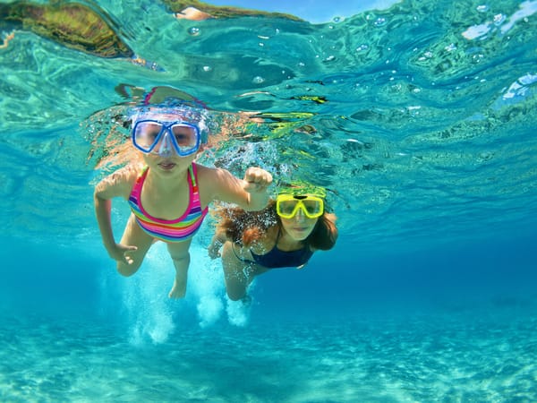 Emerald Coast: Afternoon Snorkel & Dolphin Tour