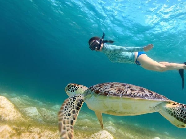Destin: Snorkeling Safari & Crab Island Combo Cruise