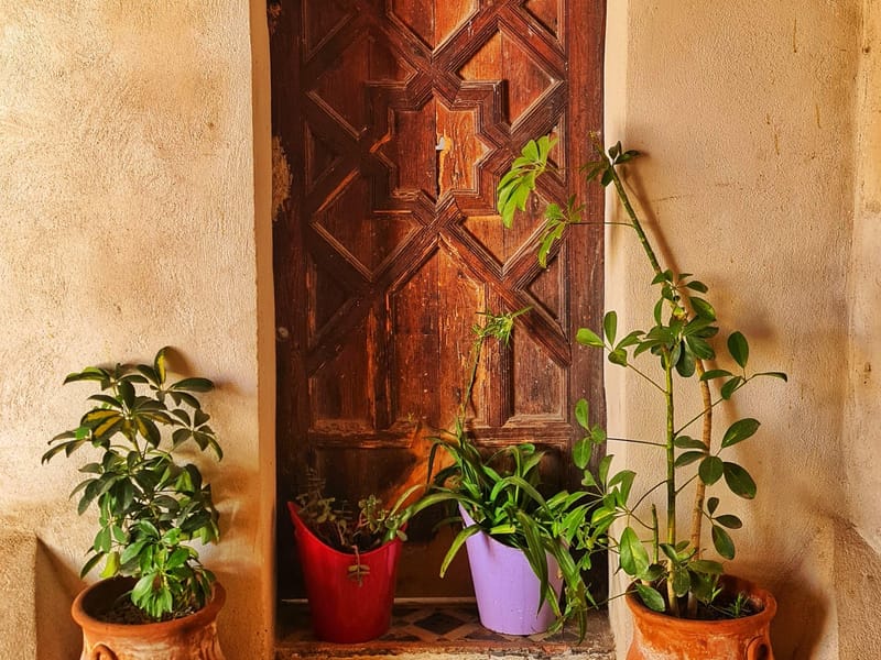 Cours de cuisine avec Fatima et visite à pied de la médina - Photo 3