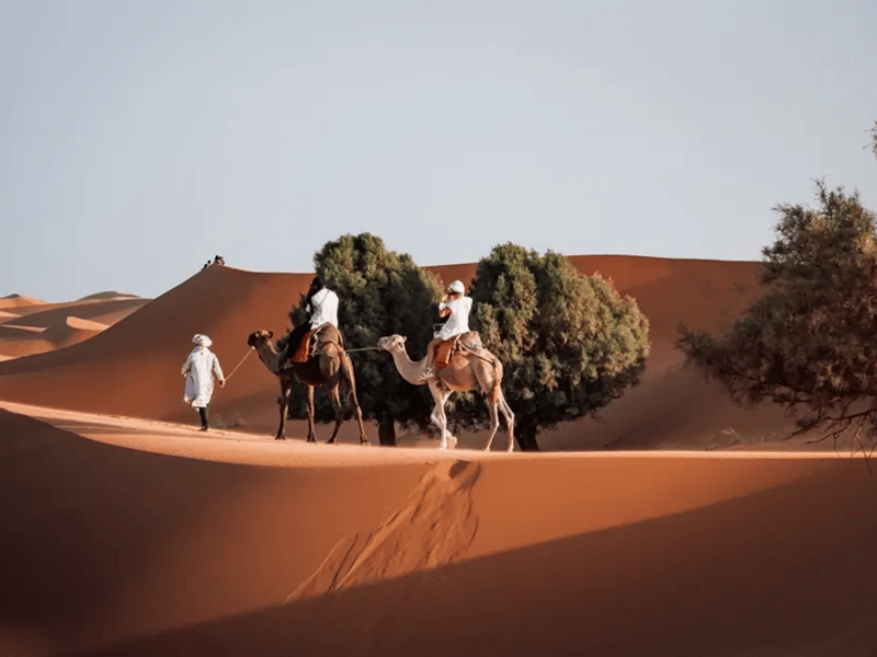 Au départ de Fès : circuit de luxe de 3 jours dans le désert jusqu'à Marrakech via Merzouga - Photo 3