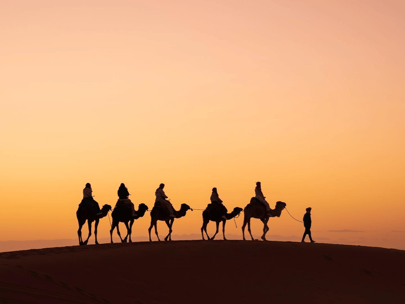 Excursion de 3 jours dans le Sahara, de Marrakech à Fès - Photo 3