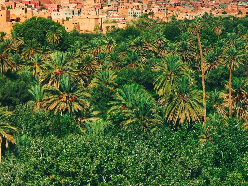 Transfert aller simple de Fès à Merzouga - Photo 3