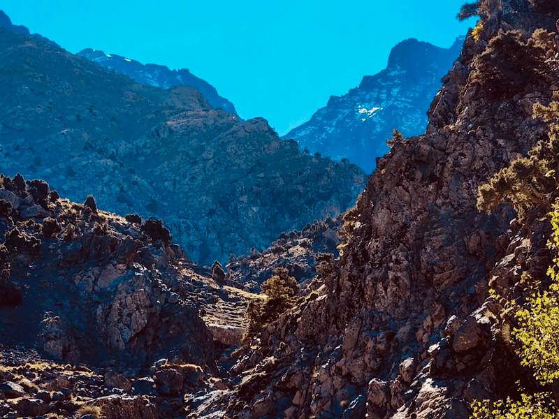 Valle di Ourika: Avventura in quad, giro in cammello ed escursioni a piedi - Photo 3