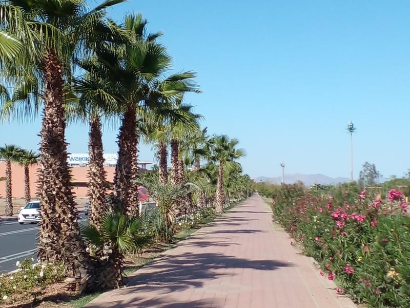 Marrakech : Visite à pied de la ville (traditionnelle, bazar, vieille ville) - Photo 2