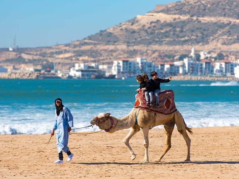 Marrakech : excursion privée d'une journée à Agadir et au parc des crocodiles - Photo 3