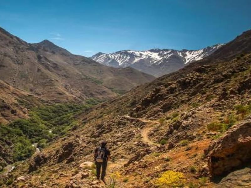 Marrakech : randonnée d'une journée au sommet de l'Atlas - Photo 3