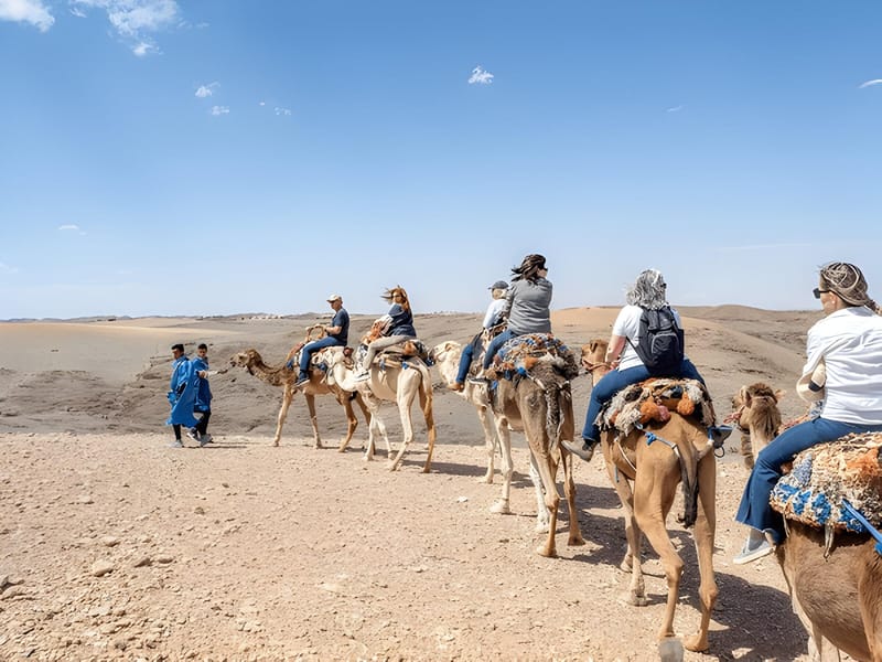 Magique Agafay : balade à dos de chameau et dîner-spectacle - Photo 3