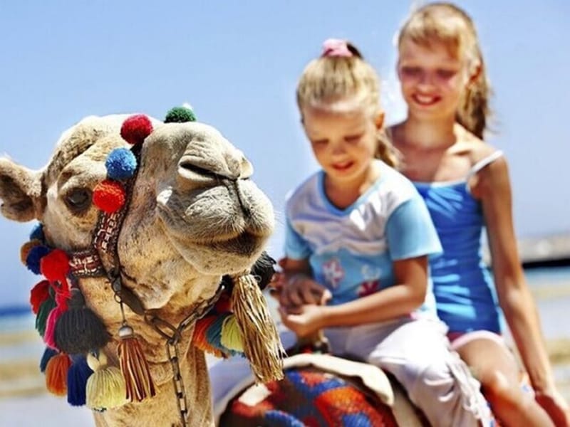 Au départ de Malaga : visite privée de luxe de Malaga à Tanger - Photo 3