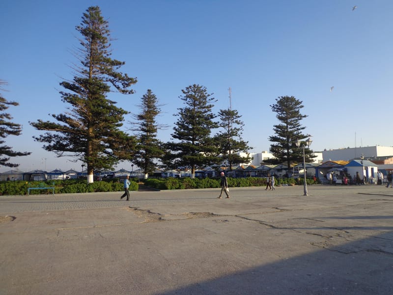 Au départ de Casablanca : excursion d'une journée à Rabat et atelier de fabrication de bougies - Photo 3