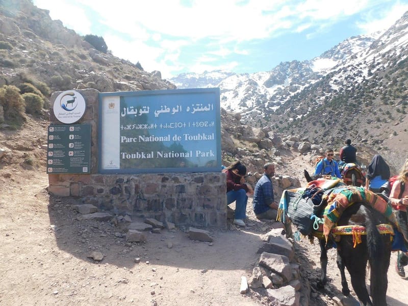 Marrakech : trek de 2 jours sur le mont Toubkal, séjour d'une nuit avec repas - Photo 3