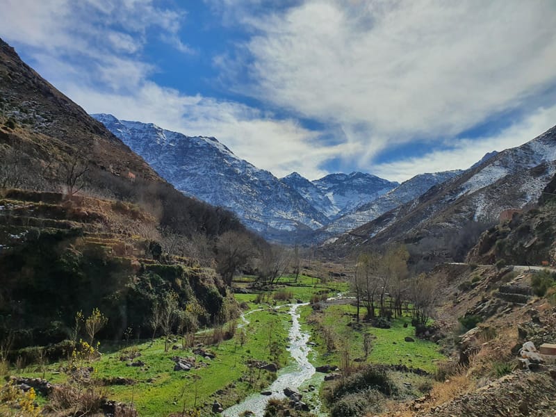 Marrakech : Montagnes de l'Atlas, désert d'Agafay, cascade et déjeuner - Photo 3