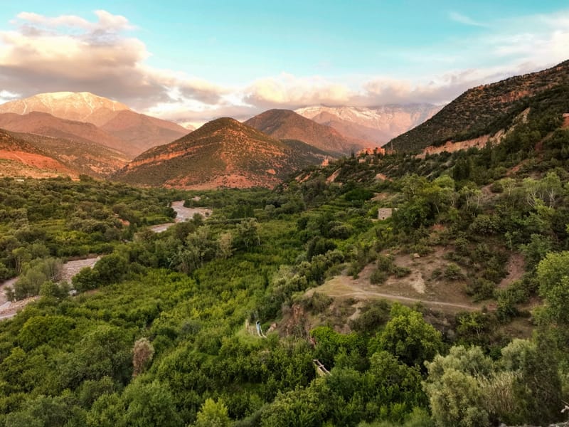 Depuis Marrakech : randonnée au sommet du Tihlatin et déjeuner pique-nique - Photo 3