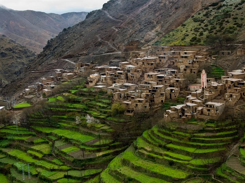 Marrakech : Atlas et safari dans le désert avec déjeuner - Photo 2
